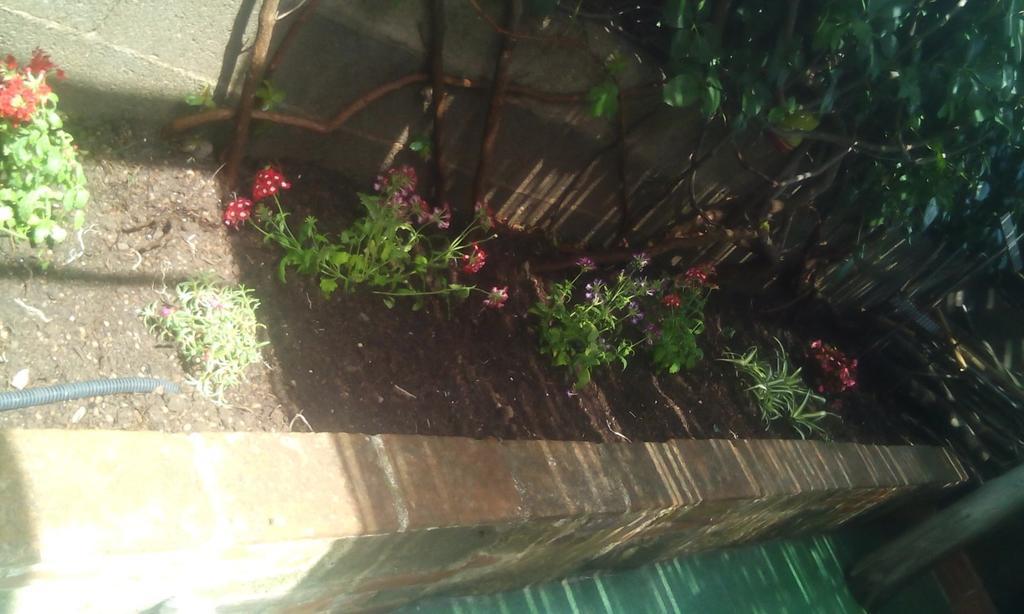 Il Tarlo Acomodação com café da manhã Seneghe Exterior foto