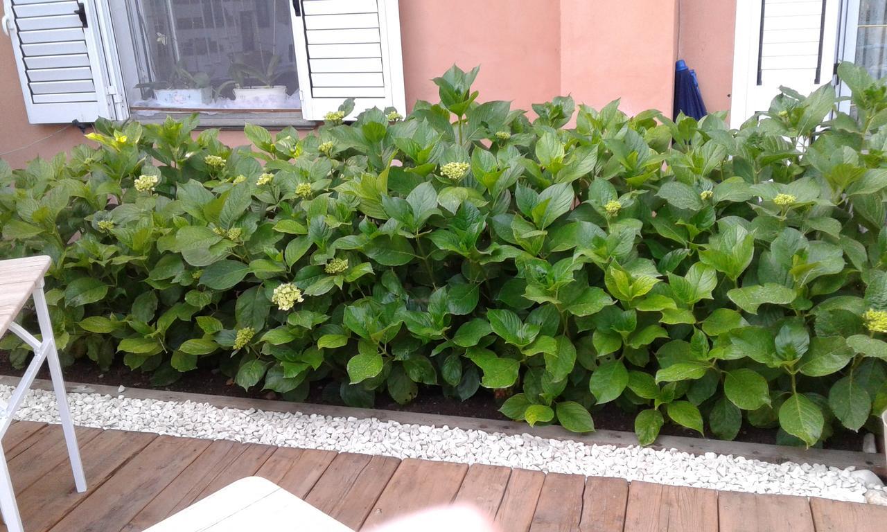 Il Tarlo Acomodação com café da manhã Seneghe Exterior foto